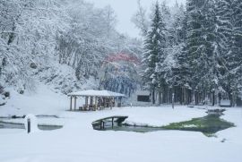 Lika,Nova Kršlja,građevno-poljoprivredni teren 88604 m2, Rakovica, Zemljište