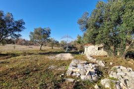 Istra, Rovinjsko Selo, poljoprivredno zemljište 27672m2, Rovinj, Arazi