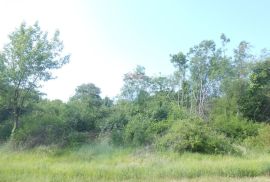 Istra,okolica Peruški, poljoprivredno zemljište uz cestu, Marčana, Land