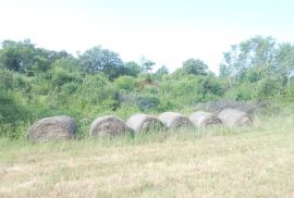 Istra,okolica Peruški, poljoprivredno zemljište uz cestu, Marčana, Land