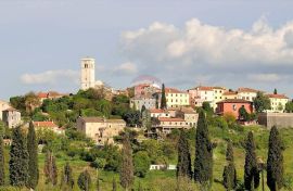 Istra, šuma pored Oprtlja u blizini građevinske zone, Oprtalj, Земля