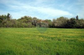 Pula, Ližnjan, građevisnko zemljište TP namjene uz glavnu prometnicu, Ližnjan, Land