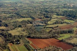 Pula, Ližnjan, građevisnko zemljište TP namjene uz glavnu prometnicu, Ližnjan, Arazi