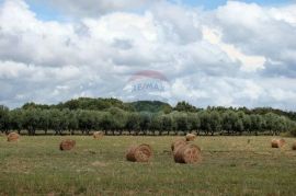 Pula, Ližnjan, građevisnko zemljište TP namjene uz glavnu prometnicu, Ližnjan, Land