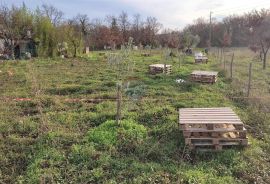 Istra,atraktivno zemljište u blizini Umaga i mora, Umag, Land