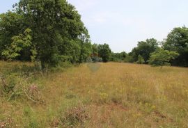 Istra, Grožnjan okolica, lijepa građevinska parcela, Grožnjan, Tierra