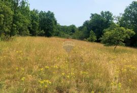 Istra, Grožnjan okolica, lijepa građevinska parcela, Grožnjan, Tierra