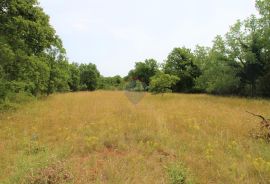 Istra, Grožnjan okolica, lijepa građevinska parcela, Grožnjan, Tierra