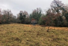 Istra, Grožnjan okolica, lijepa građevinska parcela, Grožnjan, Land