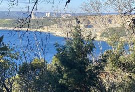 ISTRA-RAŠA, Crna Punta i Skitača, veliko negrađevinsko zemljište od 6 ha sa ucrtanih 5 građevina, Raša, Tierra