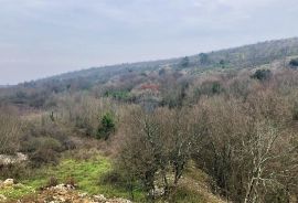 ISTRA-RAŠA, Crna Punta i Skitača, veliko negrađevinsko zemljište od 6 ha sa ucrtanih 5 građevina, Raša, Tierra