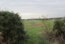 Galižana, 1100m2 zemljište, Vodnjan, أرض