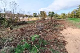 Istra, Žminj, Građevinsko zemljište na lijepoj lokaciji, površine 2371m2, Žminj, Terreno