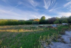 Građevinsko zemljište u industrijskoj zoni u blizini Pazina, Pazin - Okolica, Terrain