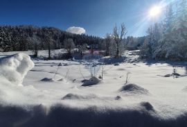 Stara Sušica - poljoprivredni teren, Ravna Gora, Terrain