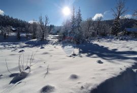 Stara Sušica - poljoprivredni teren, Ravna Gora, Terrain