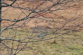 Vrata-teren u zoni GST, Fužine, Terrain