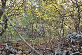 Grad Krk, uža okolica - prodaje se šuma koja se prostire na 19970m2, Krk, Terreno