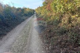 Istra, Fažana okolica, 4 poljoprivredne parcele, Fažana, Terreno