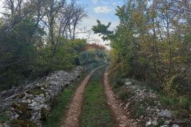 Istra, Fažana okolica, maslinik i parcela, Fažana, Γη