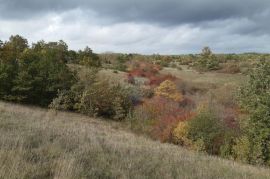 Istra, Žminj okolica poljoprivredna parcela 24839m2, Žminj, أرض