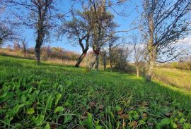 Gorski Kotar-Vrbovsko/građevinski teren, Vrbovsko, Arazi