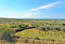 Istra,Vodnjan-Građevinsko zemljište panoramskog pogleda s građevinskom dozvolom, Vodnjan, Land