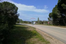 Istra, okolica Fažane, vikend parcela 600 m od plaže, Pula, Land