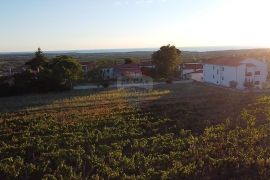 Istra, Kaštelir- Građevinsko zemljište sa pogledom na more, Kaštelir-Labinci, Tierra