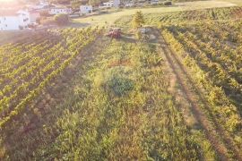 Istra, Kaštelir- Građevinsko zemljište sa pogledom na more, Kaštelir-Labinci, Land