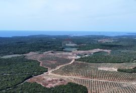 Istra - Bale - zemljište sa ucrtanom kućom, Bale, Arazi