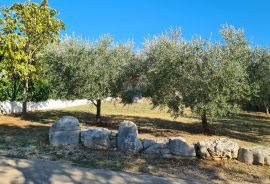 Poreč okolica: Dvije kuće s divnom okućnicom, pogled more, Poreč, Casa