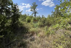 Višnjan - okolica, poljoprivredno zemljište uz asfaltirani put, Višnjan, Land