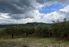 Pazin - Okolica, predivno zemljište sa pogledom na Butonigu i Ćićariju, Pazin - Okolica, Land