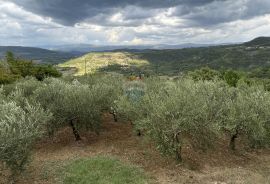 Pazin - Okolica, predivno zemljište sa pogledom na Butonigu i Ćićariju, Pazin - Okolica, Land