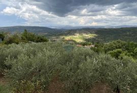 Pazin - Okolica, predivno zemljište sa pogledom na Butonigu i Ćićariju, Pazin - Okolica, Land