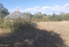 Juršići, Istra, poljoprivredno zemljište 139018 m2, Svetvinčenat, Terra