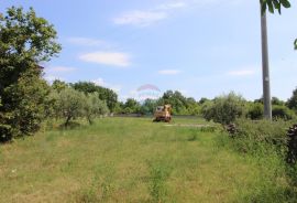 ISTRA, SAVIČENTA SAMOSTOJEĆA KUĆA NA VELIKOJ OKUĆNICI, Vodnjan, Ev