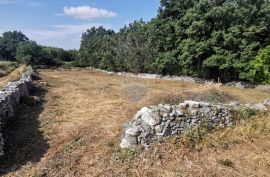 SV. PETAR U ŠUMI - Prekrasna oranica omeđena suhozidom, Sveti Petar U Šumi, Land