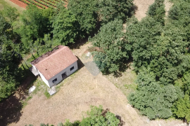 Istra, Višnjan - Samostojeća kuća sa 4900 m2 okućnice, Višnjan, Σπίτι