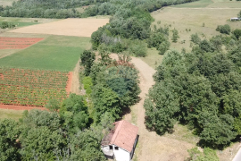 Istra, Višnjan - Samostojeća kuća sa 4900 m2 okućnice, Višnjan, Σπίτι