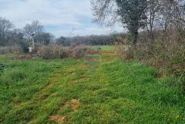 Šišan, poljoprivredno zemljište 10 600 m2, Ližnjan, Terra