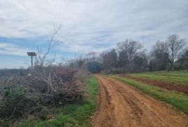 Šišan, poljoprivredno zemljište 10 600 m2, Ližnjan, Terra