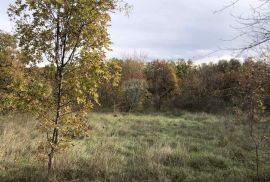 RAKALJ, građevinsko zemljište na lijepoj lokaciji, Marčana, Terrain