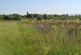 Poljoprivredno zemljište + ruševina 15438 m2 , Marčana, Marčana, Land