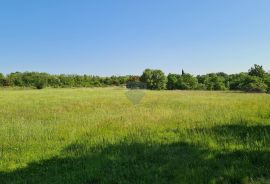 Poljoprivredno zemljište + ruševina 15438 m2 , Marčana, Marčana, Land