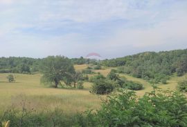 Istra,Grožnjan,šarmatna Istarska kamena kuća, Grožnjan, Дом