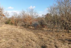 Juršići, Istra, poljoprivredno zemljište 19770 m2, Svetvinčenat, Γη