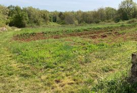 Višnjan okolica, kuća s velikom okućnicom od 17000m2, Višnjan, Kuća