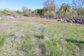 Istra, Mrgani - građevinsko zemljište na mirnoj lokaciji, Kanfanar, Terrain